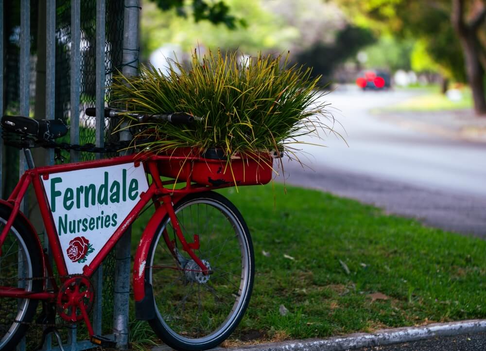 About Ferndale Nurseries