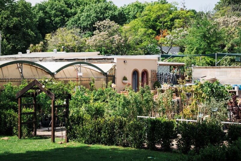 Trees and fruit trees